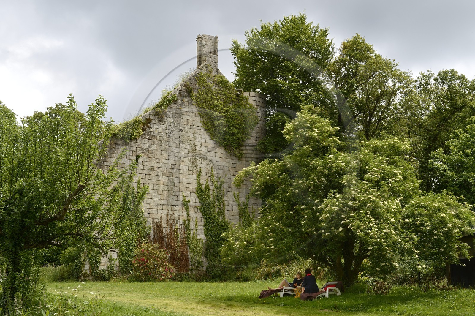 France, Finistère (29), Pont-Aven, Nizon, chateau de Rustephan, ancien manoir du XVe et du XVIe siècle en ruine