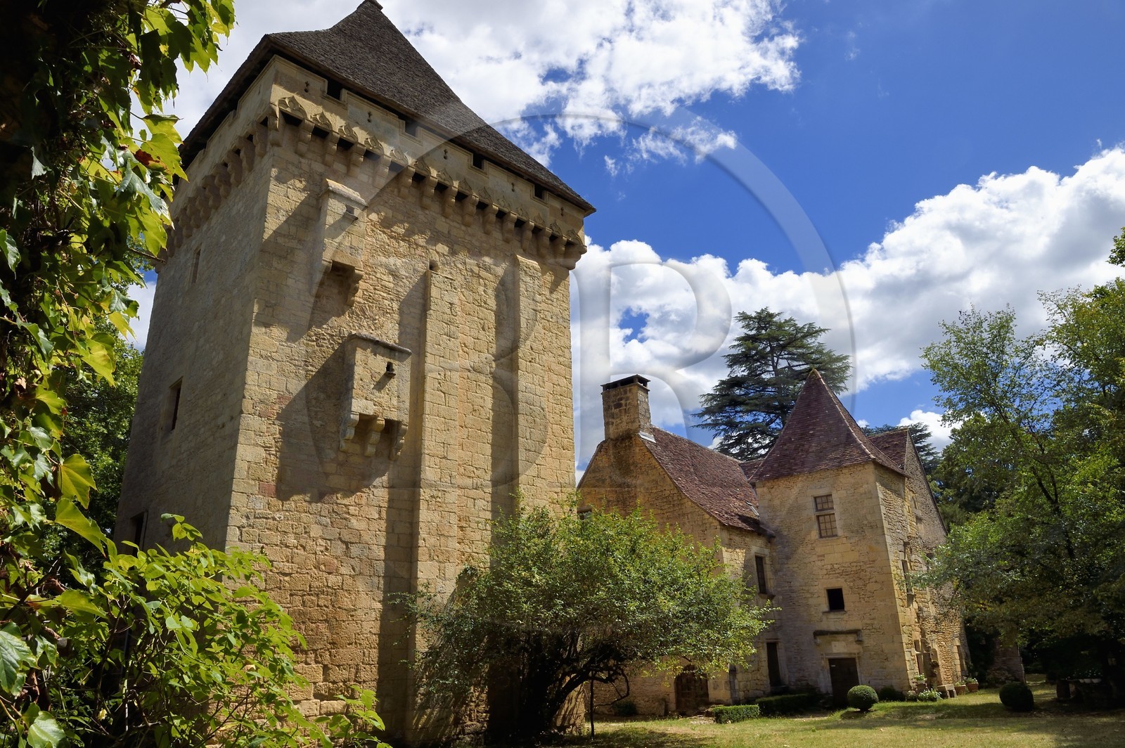 France, Dordogne (24), Périgord Noir, vallée de la Vézère, Saint-Léon-sur-Vézère, labellisé Les Plus Beaux Villages de France, le donjon du manoir de la Salle