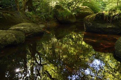 France, Finistère (29), parc naturel régional d'Armorique, Huelgoat, chaos granitique de la forêt du Huelgoat, la forêt se reflète dans l'eau de la rivière d'Argent qui prend parfois une couleur rouge sang