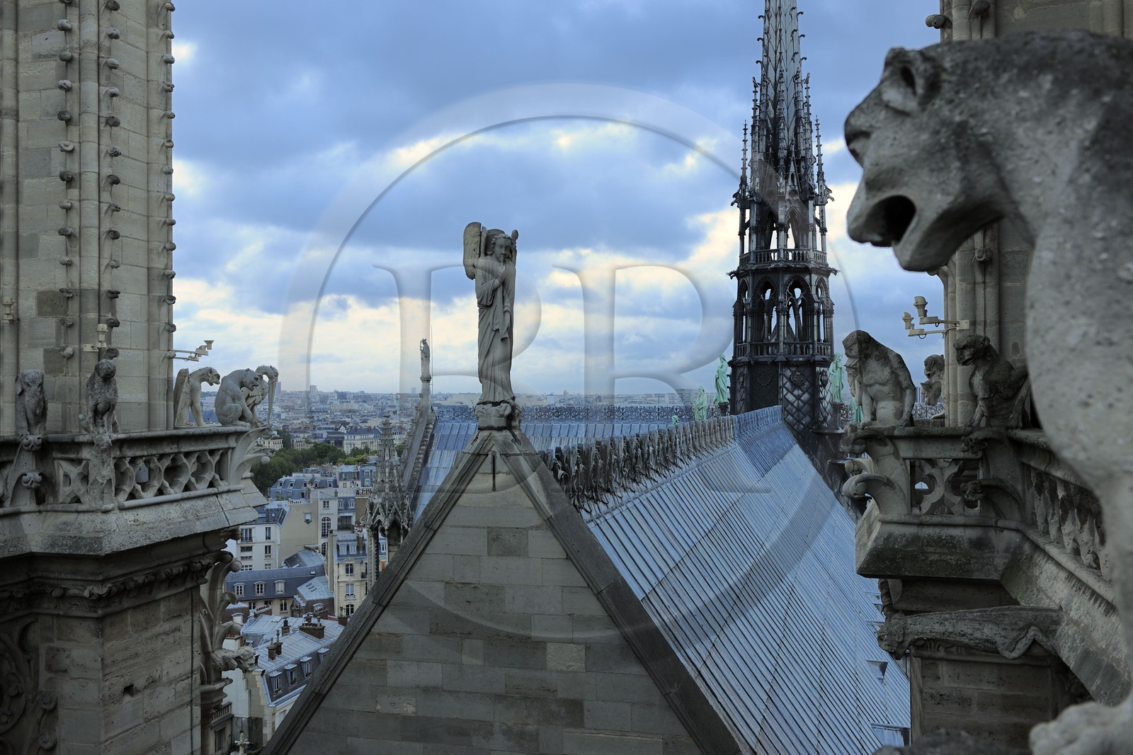 France, Paris (75), île de la Cité, la cathédrale Notre-Dame, les chimères observent la ville