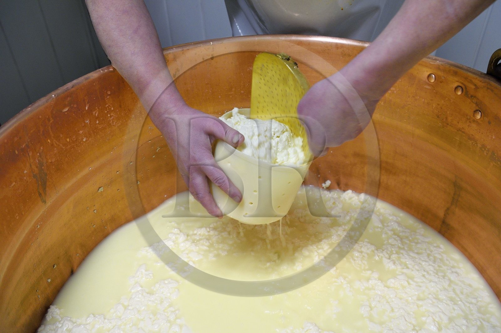 France, Haut-Rhin (68), Wasserbourg, Ferme-auberge Buchwald, le marcaire Michel Wehrey à la fabrication du fromage de munster AOP (lait de vache), caillé dans le chaudron en cuivre mis en moule pour lui permettre d’être égoutté et former ainsi le futur Munster