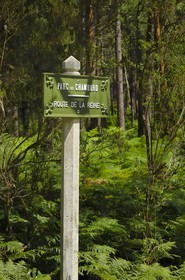 France, Loire et Cher, domaine du château de Chambord