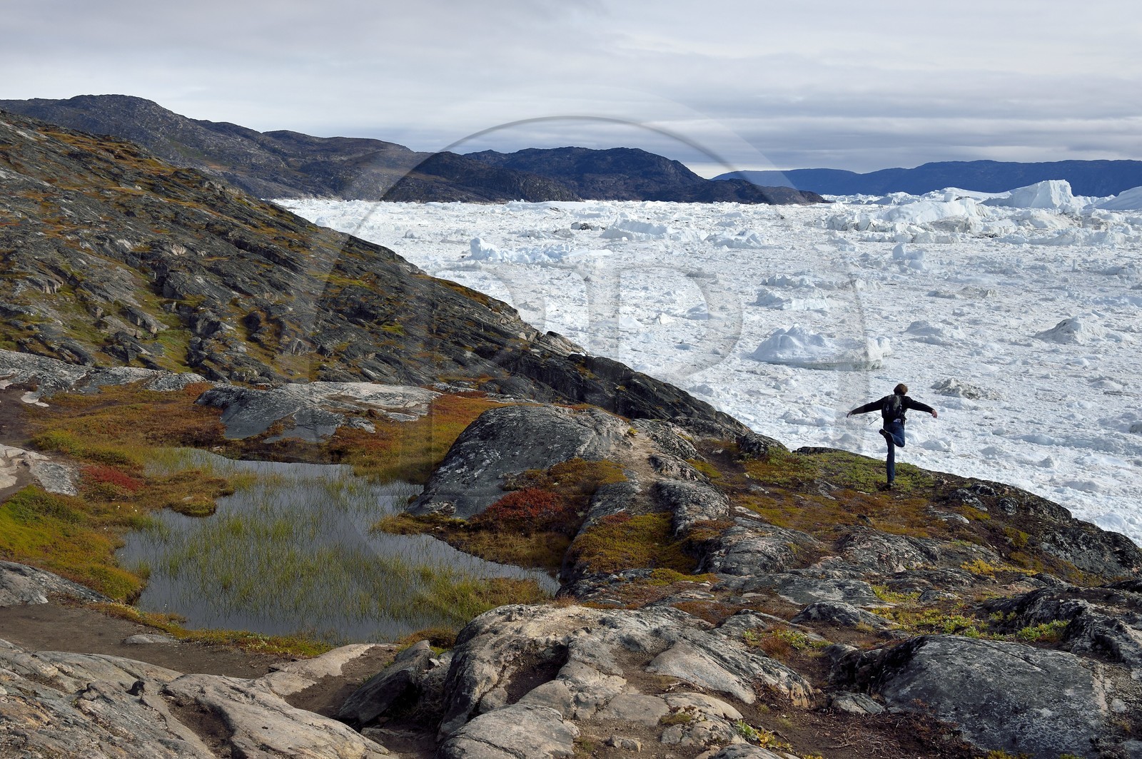 Groenland, cote ouest, baie de Disko, Ilulissat, randonneur en bordure du fjord glacé classé Patrimoine Mondial de l'UNESCO qui est l’embouchure maritime du glacier Sermeq Kujalleq (Jakobshavn Glacier), le journaliste Yves Cornu