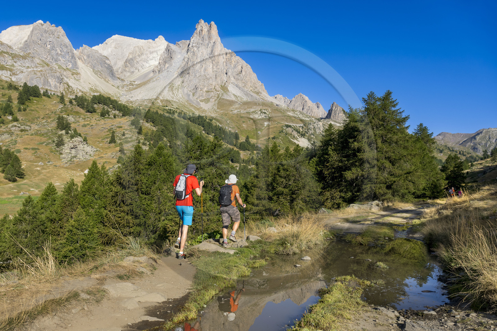 France, Hautes Alpes, Briancon region, Nevache, hikers in the Clarée valley, the Cerces massif and the peaks of the Main de Crépin (2942m) in the background