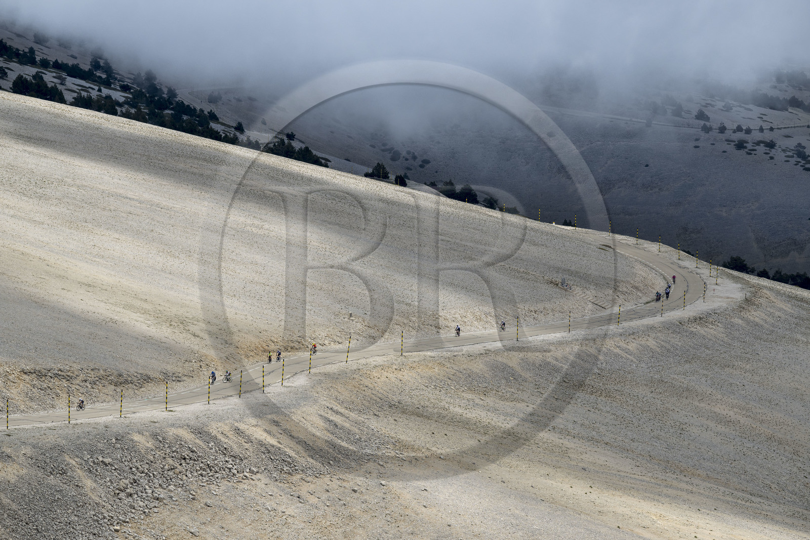 France, Vaucluse, Parc Naturel Regional du Mont Ventoux, Bedoin, bike ascent of Mont Ventoux by the D974 road on the southern slope towards the summit