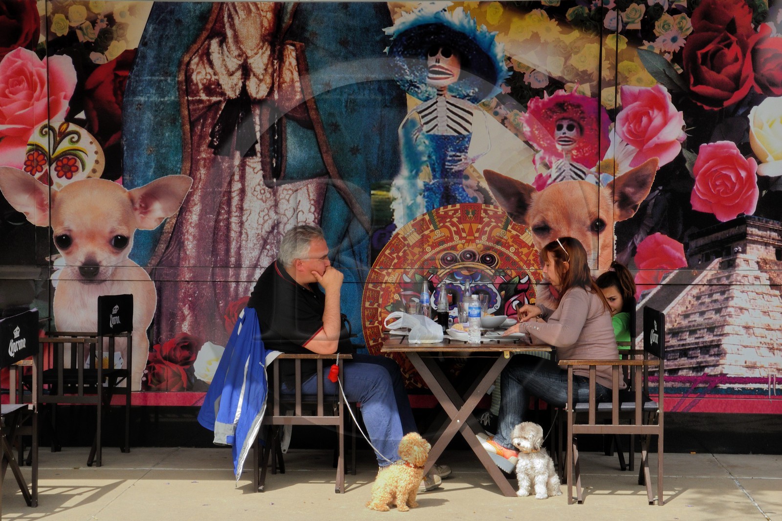 Argentine, Buenos Aires, quartier de Puerto Madero, café en bordure du quai