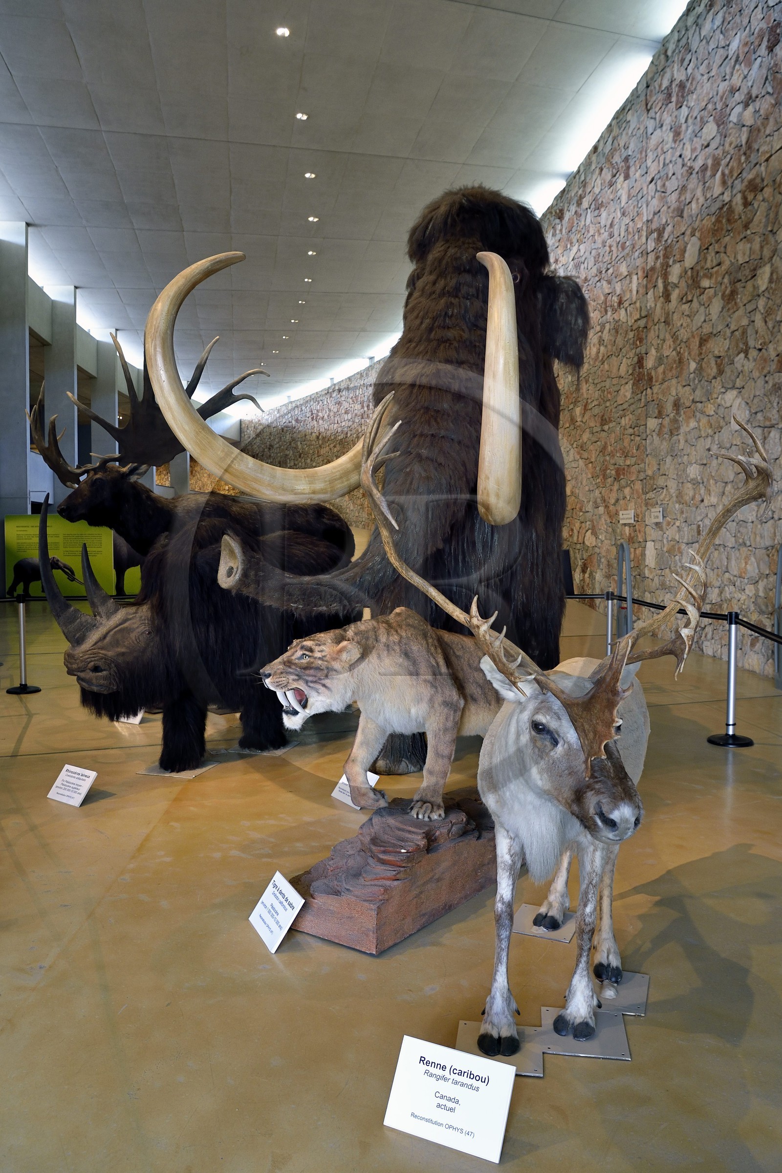 France, Alpes-de-Haute-Provence (04), Parc Naturel Régional du Verdon, Quinson, Musée de préhistoire des Gorges du Verdon conçu par l'architecte Norman Foster