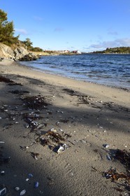 Suède, Västra Götaland, Iles Koster, plage de sable de Sydkoster au sud d'Ekenäs