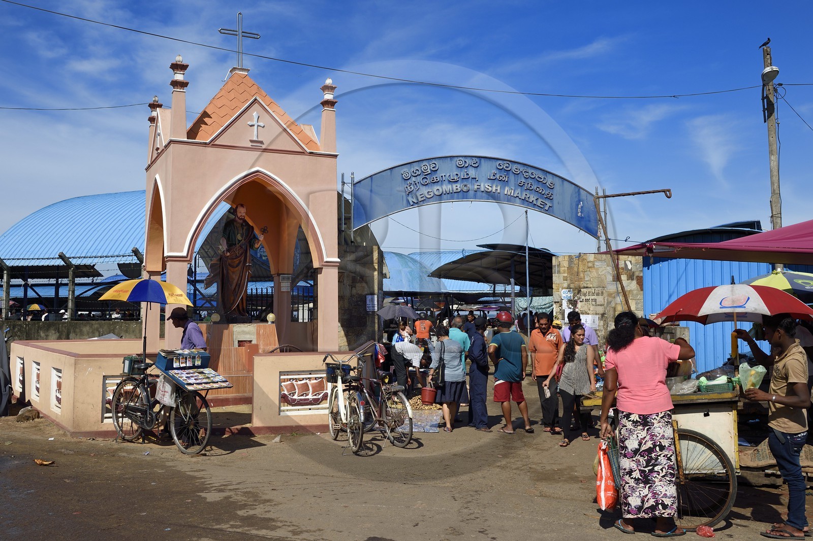 Sri Lanka, Western Province, Negombo, the fish market