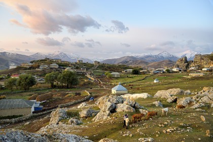 Azerbaijan, Quba (Guba) region, Greater Caucasus mountain range, village of Giriz at dawn, women bringing their cows to meadows