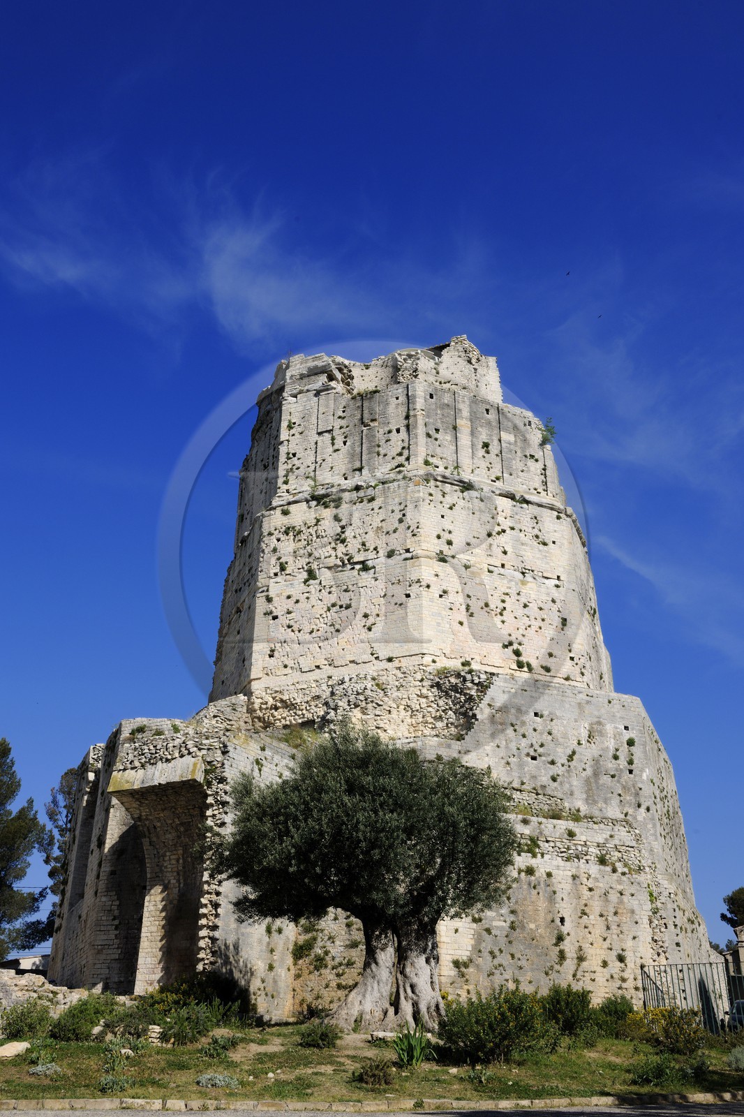 France, Gard, Nimes, Magne tower on top of the Jardins de la Fontaine