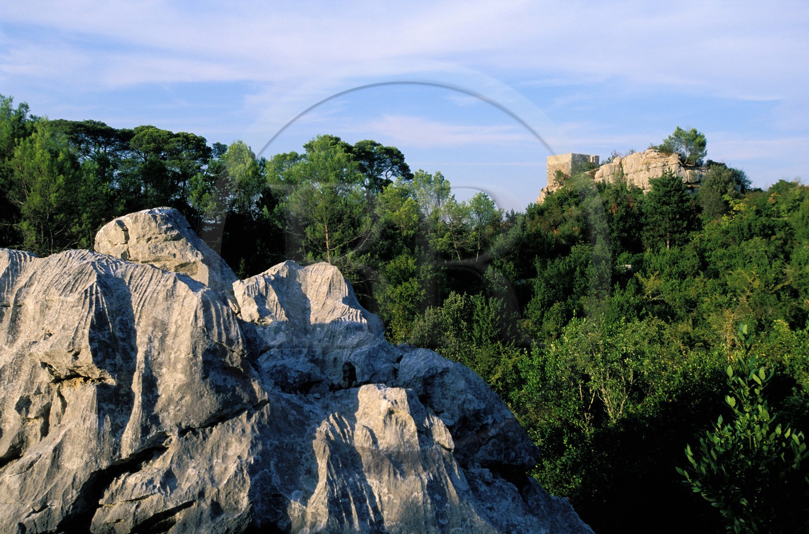 France, Gard, Sauve, the sea of rocks
