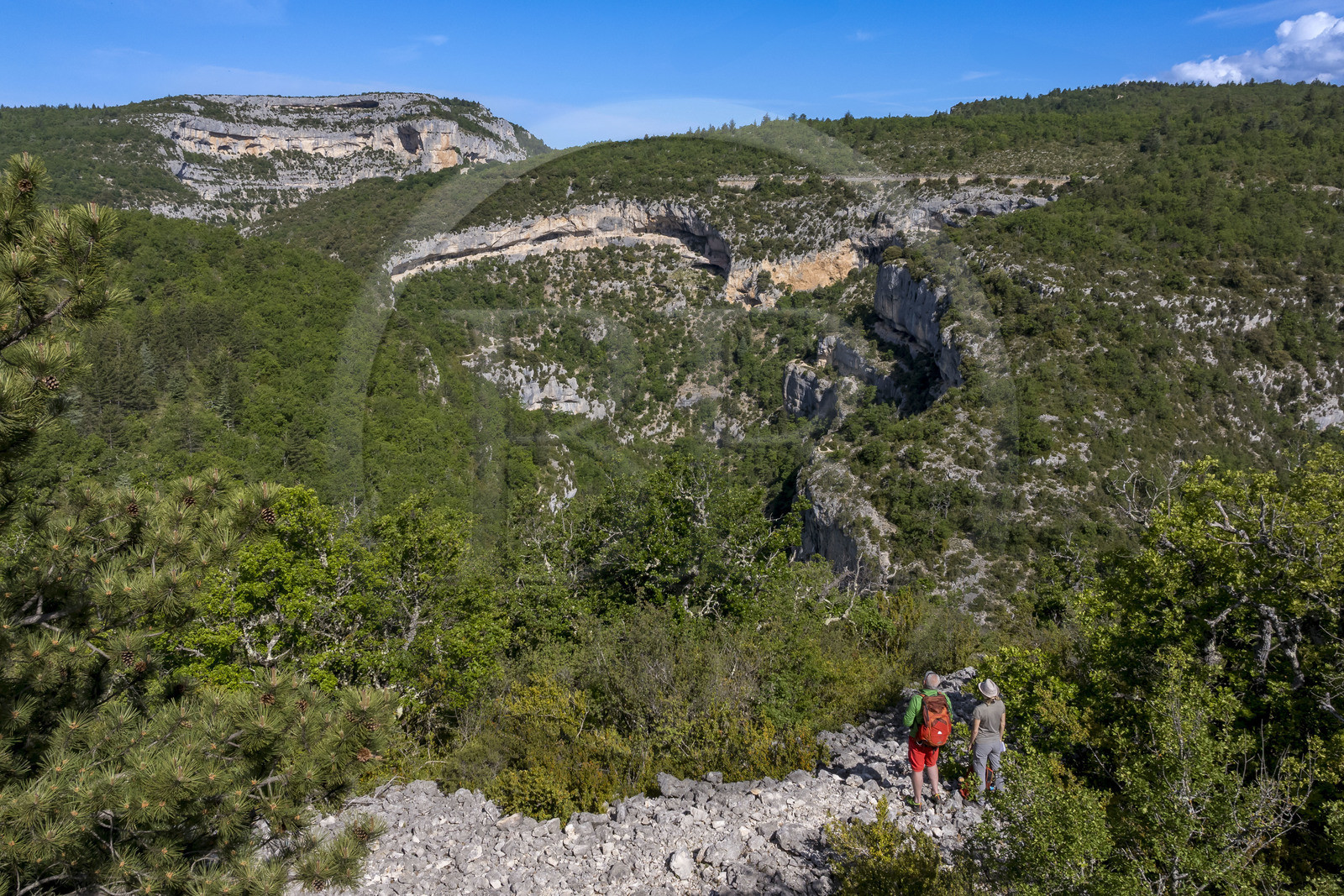 France, Vaucluse (84), Parc naturel régional du Mont Ventoux, Monieux, Gorges de La Nesque, randonneurs sur les hauteurs face au barres rocheuses