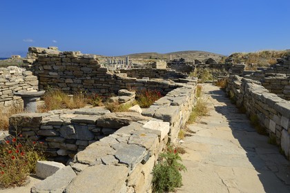 Grèce, île de Delos, classée Patrimoine Mondial de l'UNESCO, site archéologique de Délos, sanctuaire d'Apollon, la plus grande cité antique de la mer Egée, quartier du théatre