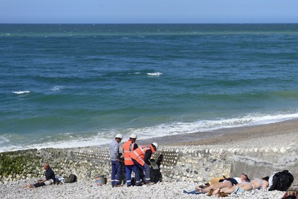 France, Seine-Maritime (76), Pays de Caux, Côte d'Albâtre, Etretat, travaux de consolidation sur la plage et vacanciers profitant du soleil