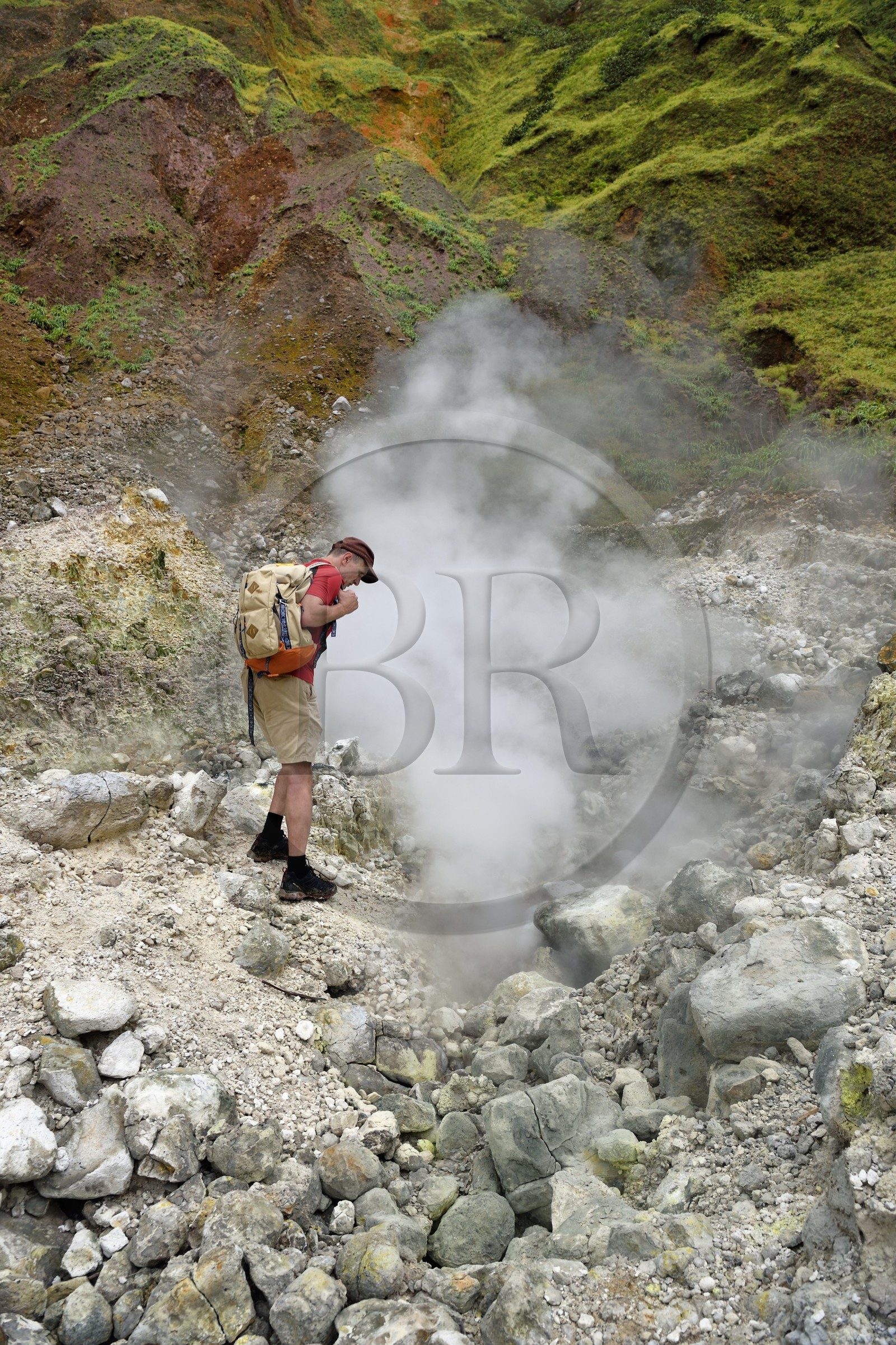 Caribbean, Dominica Island, Castle Bruce, Morne Trois Pitons National Park listed as World heritage by UNESCO, Valley of Desolation with fumaroles and hot springs, hike on the trail to Boiling Lake