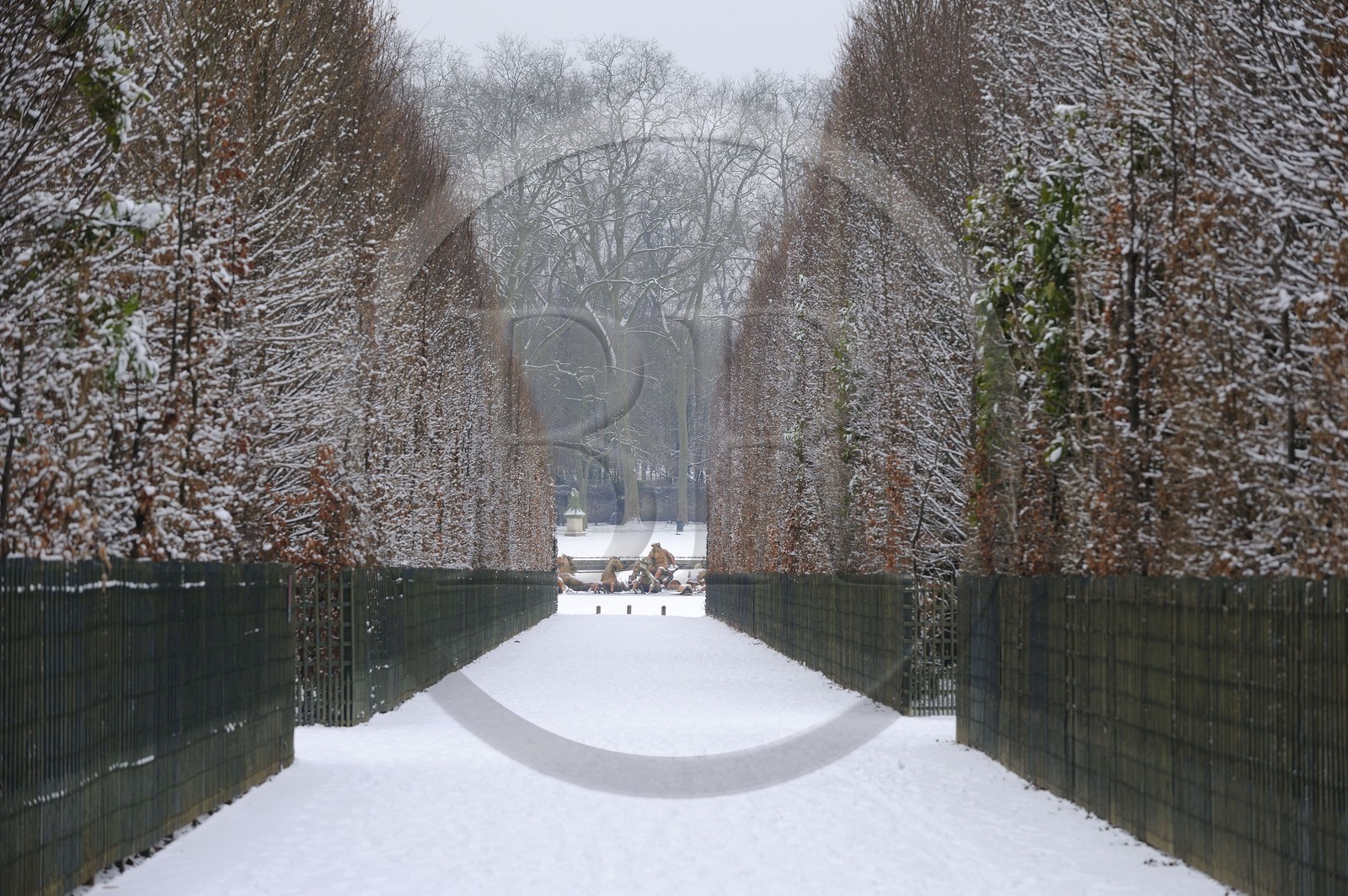 France, Yvelines (78), château de Versailles, classé Patrimoine Mondial de l'UNESCO, le bassin d'Apollon oeuvre de Tuby représente le char d'Apollon maître du Soleil dans l'axe d'une allée