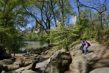 Etats-Unis, New York, Manhattan, Central Park, le Lac et les immeubles de l'Upper West Side en arrière plan