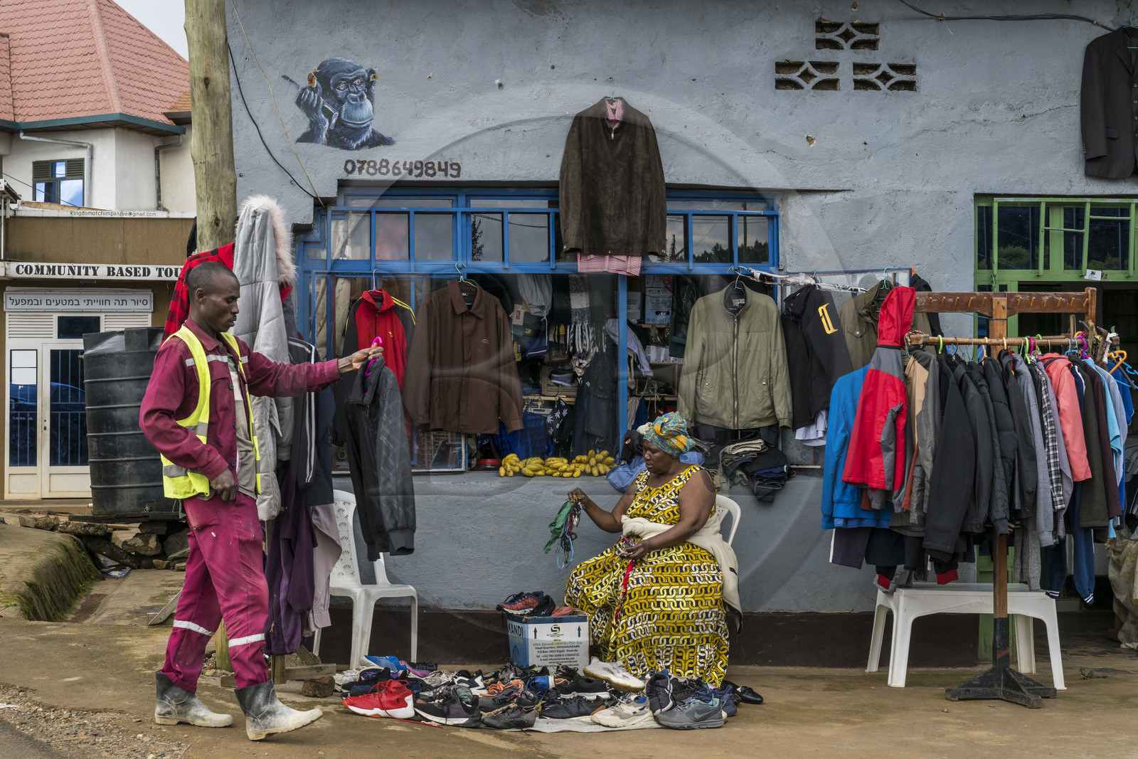 Rwanda, Western Province, Gisakura,