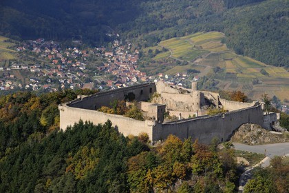 France, Haut Rhin, Hohlandsbourg Castle in the Vosges Massif on the heights of Eguisheim, with its surrounding walls (aerial view)