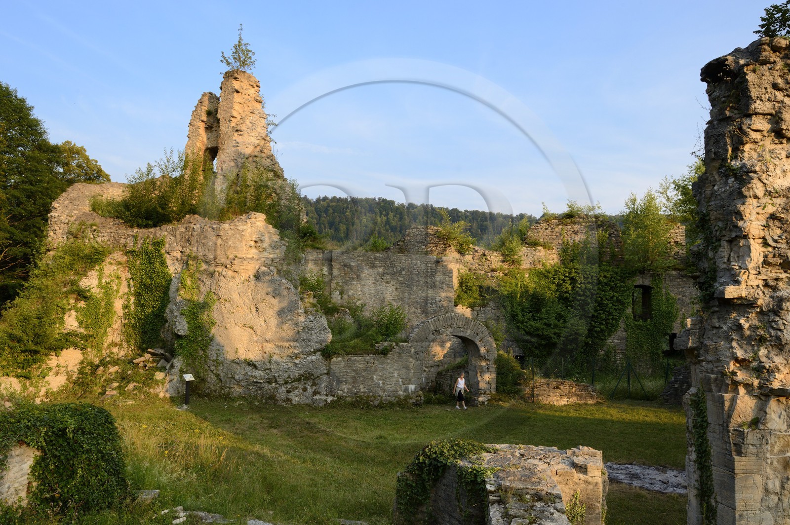 France, Haut Rhin, Sundgau, Oberlarg, ruins of the Morimont castle of the 12th century