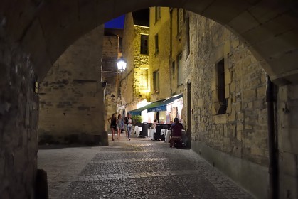 France, Dordogne (24), Périgord Noir, vallée de la Dordogne, Sarlat-la-Canéda, passage Henri de Ségogne et le restaurant Les Jardins d'Harmonie