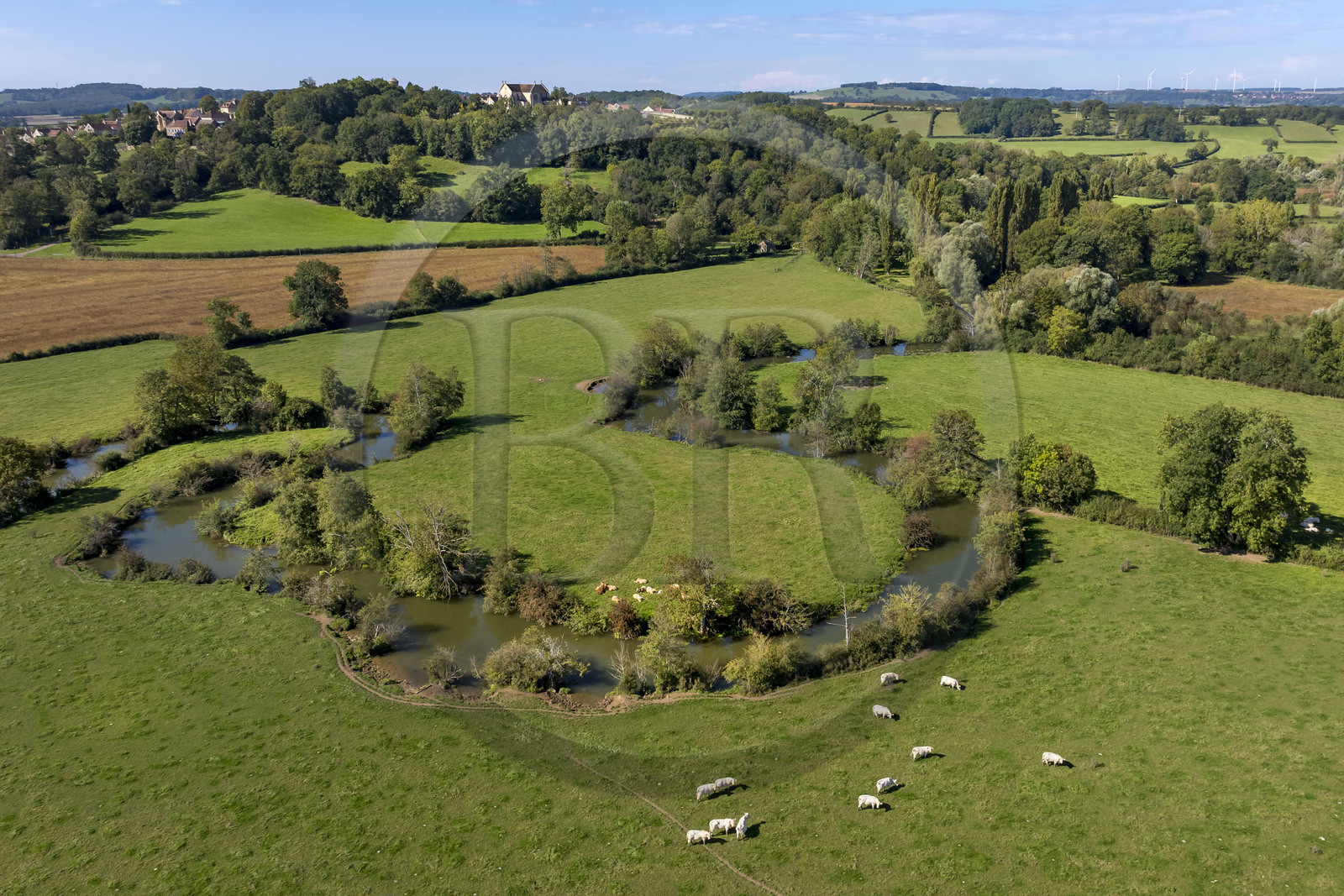 France, Yonne (89), Montréal (Bourgogne), les boucles de la rivière Serein au milieu des pré et la collégiale Notre-Dame en arrière plan (vue aérienne)