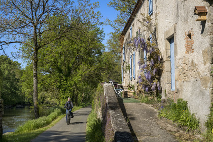 France, Vendée (85), Mortagne-sur-Sèvre, randonnée cycliste dans la vallée de la Sèvre Nantaise passant devant l'ancien moulin de la Garde
