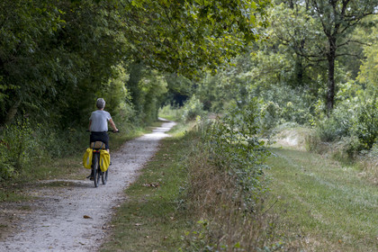 France, Charente-Maritime (17), Saint-Agnan, cycliste sur la véloroute dans le Bois du Chay en direction de l'abbaye de Trizay
