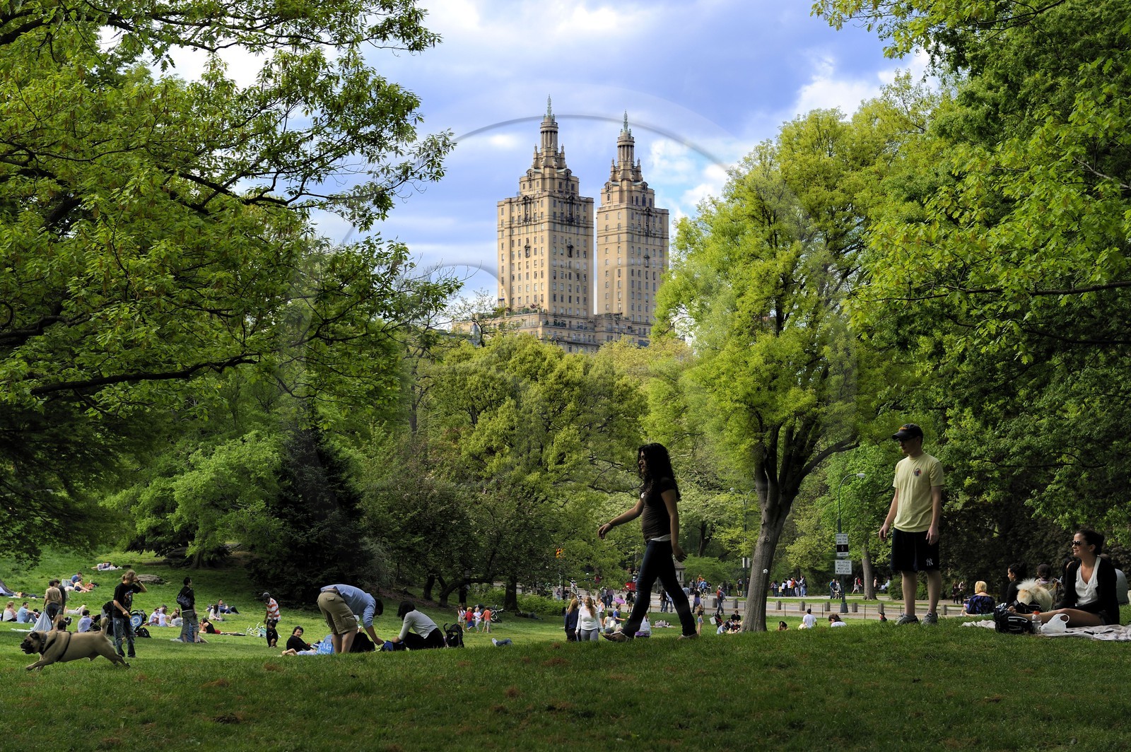 Etats-Unis, New York, Manhattan, un dimanche à Central Park