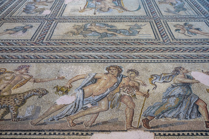 France, Bouches du Rhone, Arles, musée départemental Arles antique, detail of the Aion mosaic (end of 2nd century) which is the floor of the ceremonial dining room of a rich Roman town house on the site of the former verrerie de Trinquetaille on the right bank of the Rhone