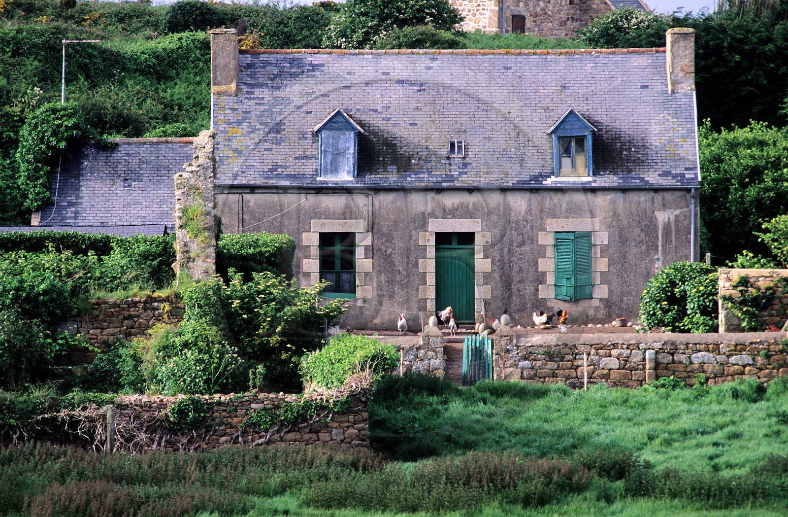 France, Côtes-d'Armor (22), petite ferme sur l'île de Bréhat