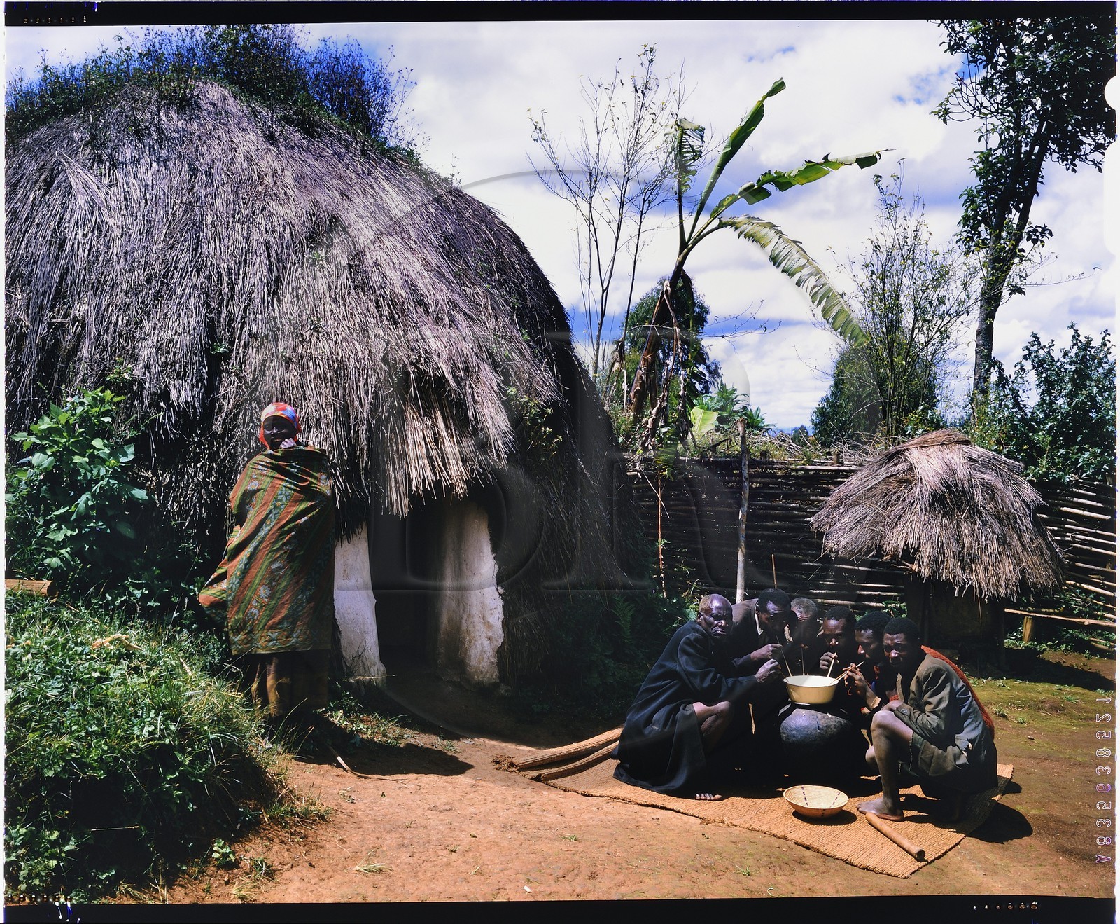 Burundi, province de Bujumbura, région d'Ijenda, habitation principale d'un rugo de type intermédiaire, le rugo archaïque (pré colonial) à quasiment disparu, cette hutte hémisphérique s'en différencie uniquement par le fait d'avoir des murs en dur, l'organisation intérieure n'a pas changé et elle conserve son toit en chaume qui la recouvre entièrement, les deux hommes à gauche et à droite en premier plan sont probablement Hutu alors que les autres hommes et la femme sont Tutsi, les deux ethnies cohabitent sans problèmes en temps de paix et ont des relations de bon voisinage, les hommes sont en train de boire de la bière de sorgho (bière traditionnelle) (reproduction plan-film inversible 4x5)