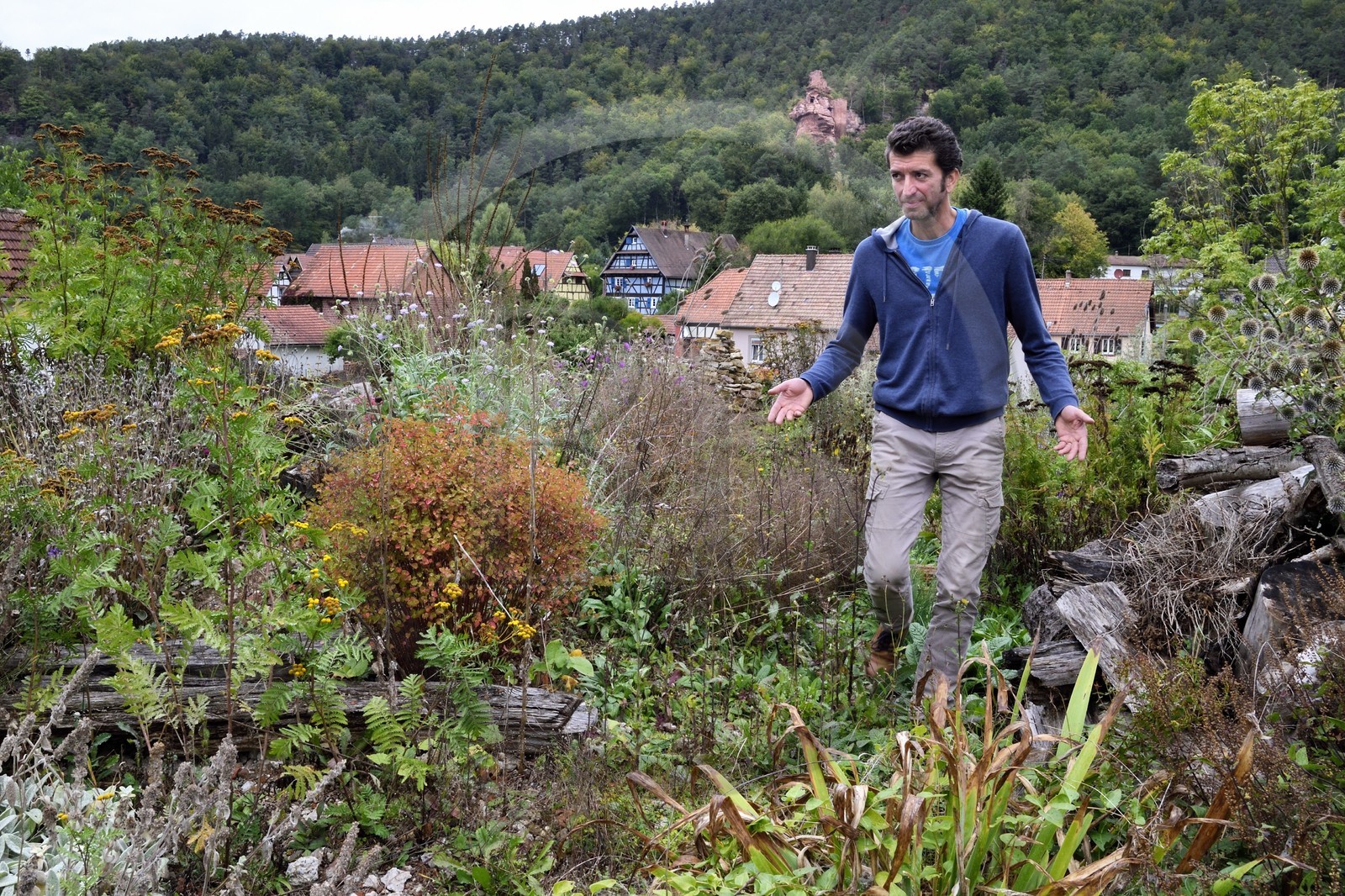 France, Bas-Rhin (67), Parc naturel régional des Vosges du Nord, Obersteinbach, le jardin écologique Hymenoptera créé par Sébastien Heim pour favoriser la présence d’insectes