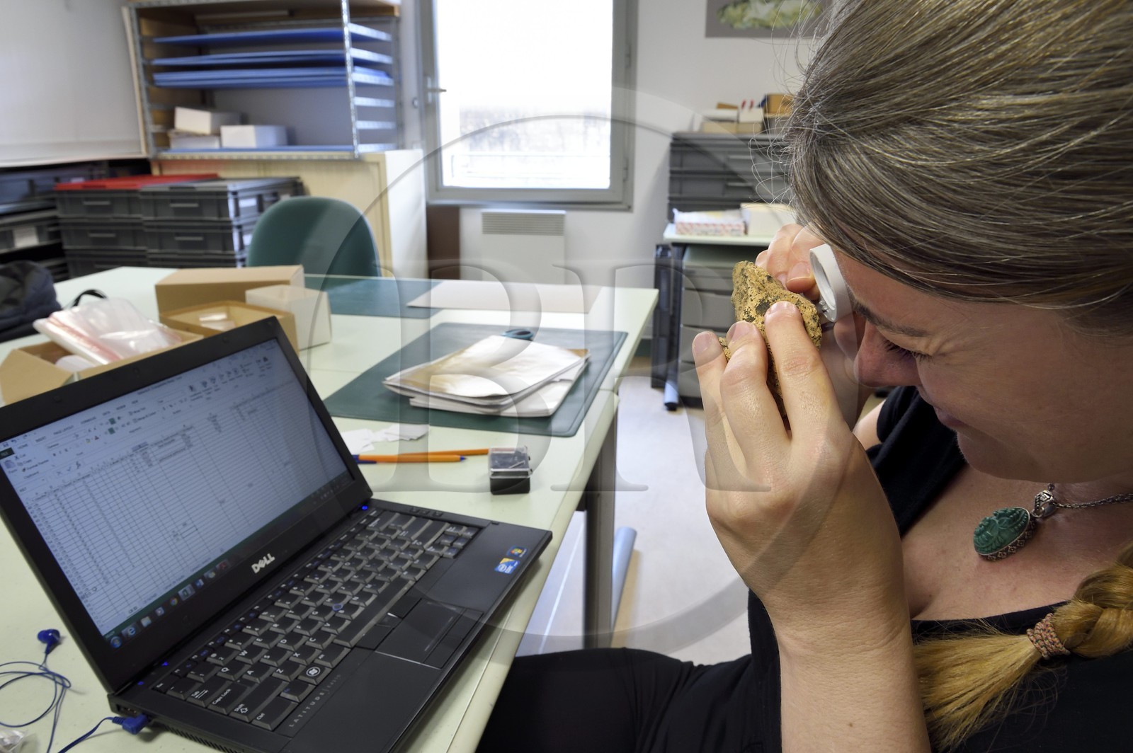 France, Dordogne (24), Périgord Noir, vallée de la Vézère, Les Eyzies-de-Tayac-Sireuil, site classé Patrimoine Mondial de l'UNESCO, Musée National de la Préhistoire, étude d'ossements dans le laboratoire, os de jeune mégacéros datant du paléolithique supérieur