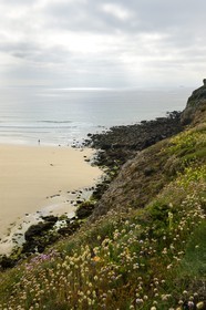 France, Finistere,  Iroise Sea, Plogoff, beach of the Baie des Trepasses