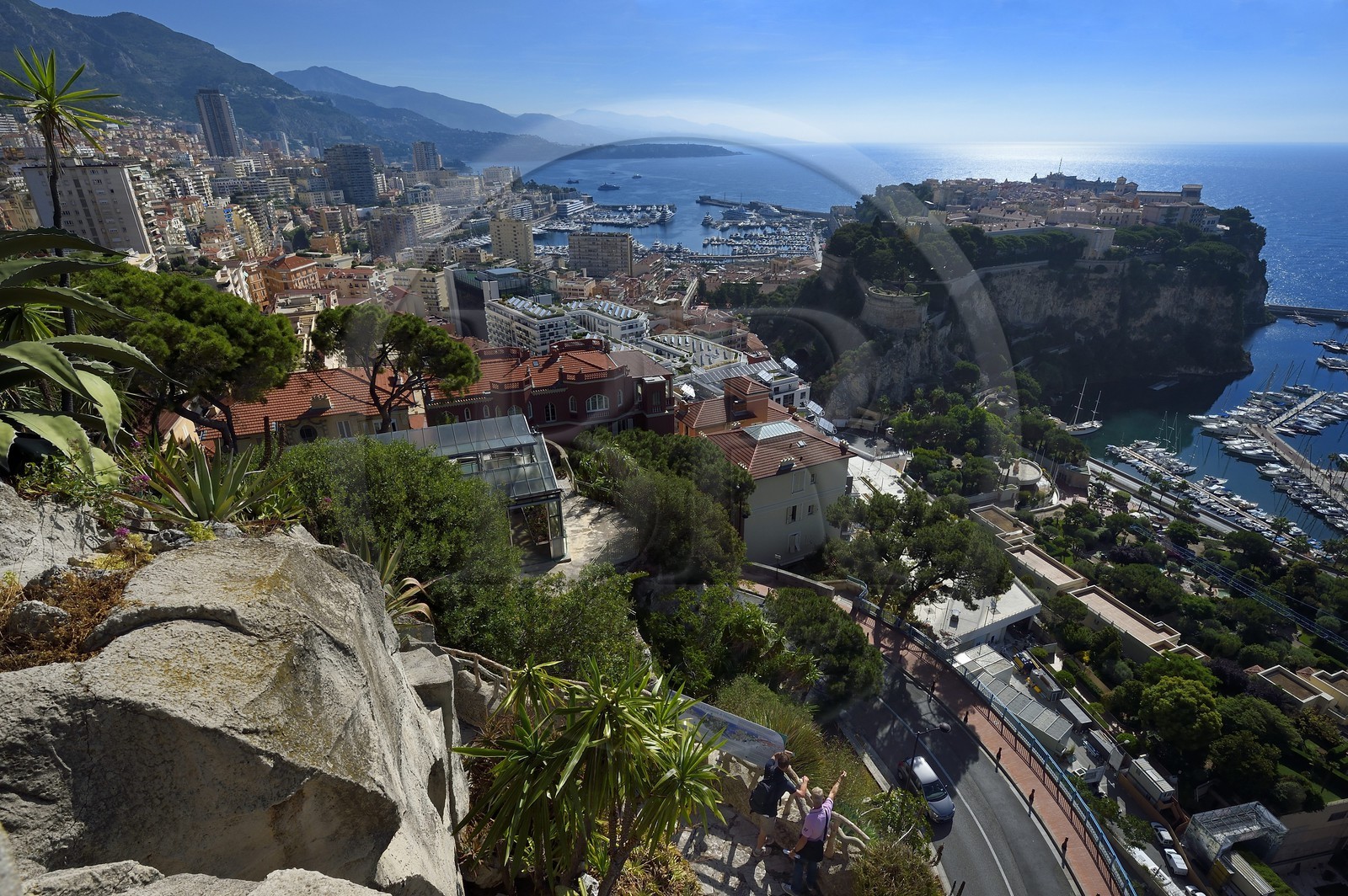 Principality of Monaco, Monaco, the Exotic Garden with a huge variety of Succulent plant species, the Rock in the background