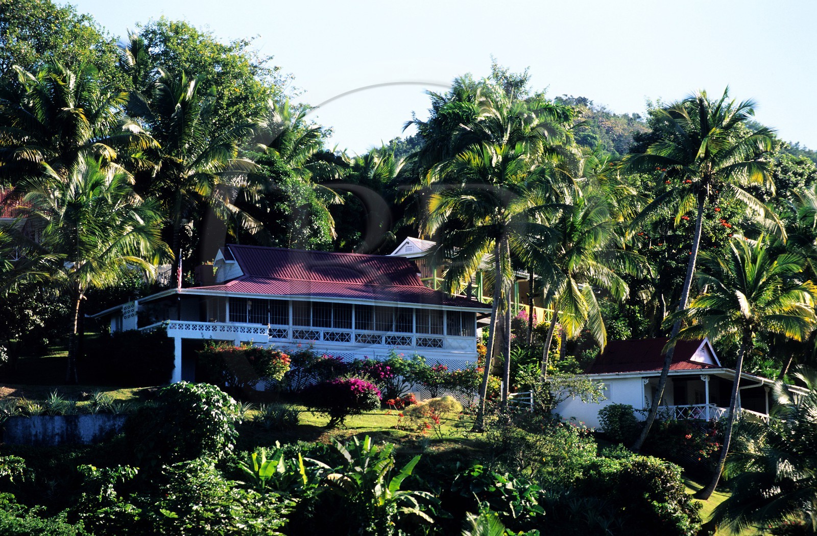 Caraïbes, Sainte Lucie, villa d'un hotel cachée dans la végétation à Marigot Bay