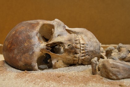 France, Corse-du-Sud (2A), Alta Rocca, village de Levie, Musée de l’Alta Rocca, la Dame de Bonifacio, plus ancien vestige mésolithique de Corse (6570 av.JC)
