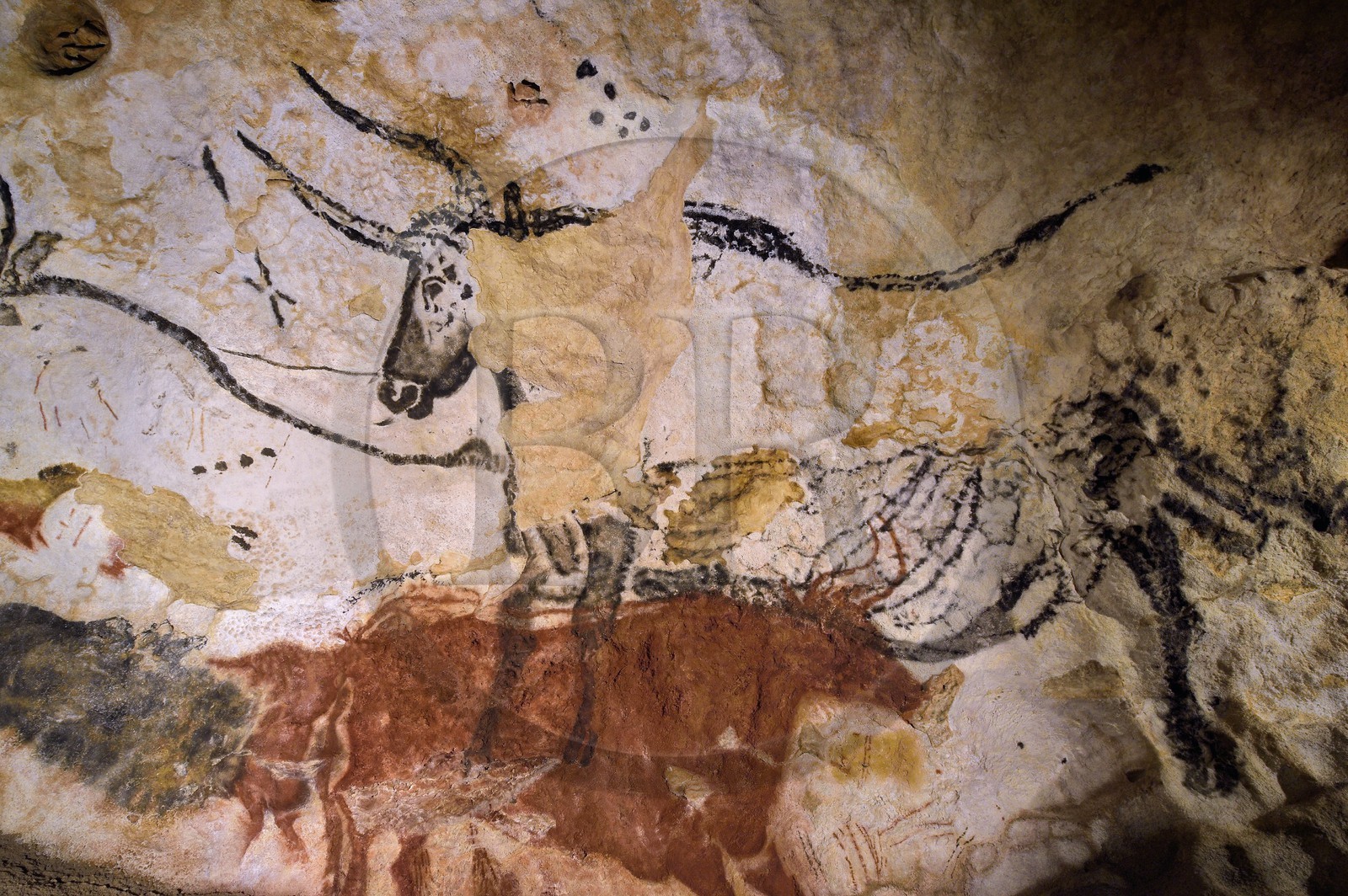 France, Dordogne, Perigord Noir, Vezere Valley, Montignac sur Vezere, Lascaux II caves, reconstitution of the prehistoric site and decorated cave listed as World Heritage by UNESCO, Aurochs