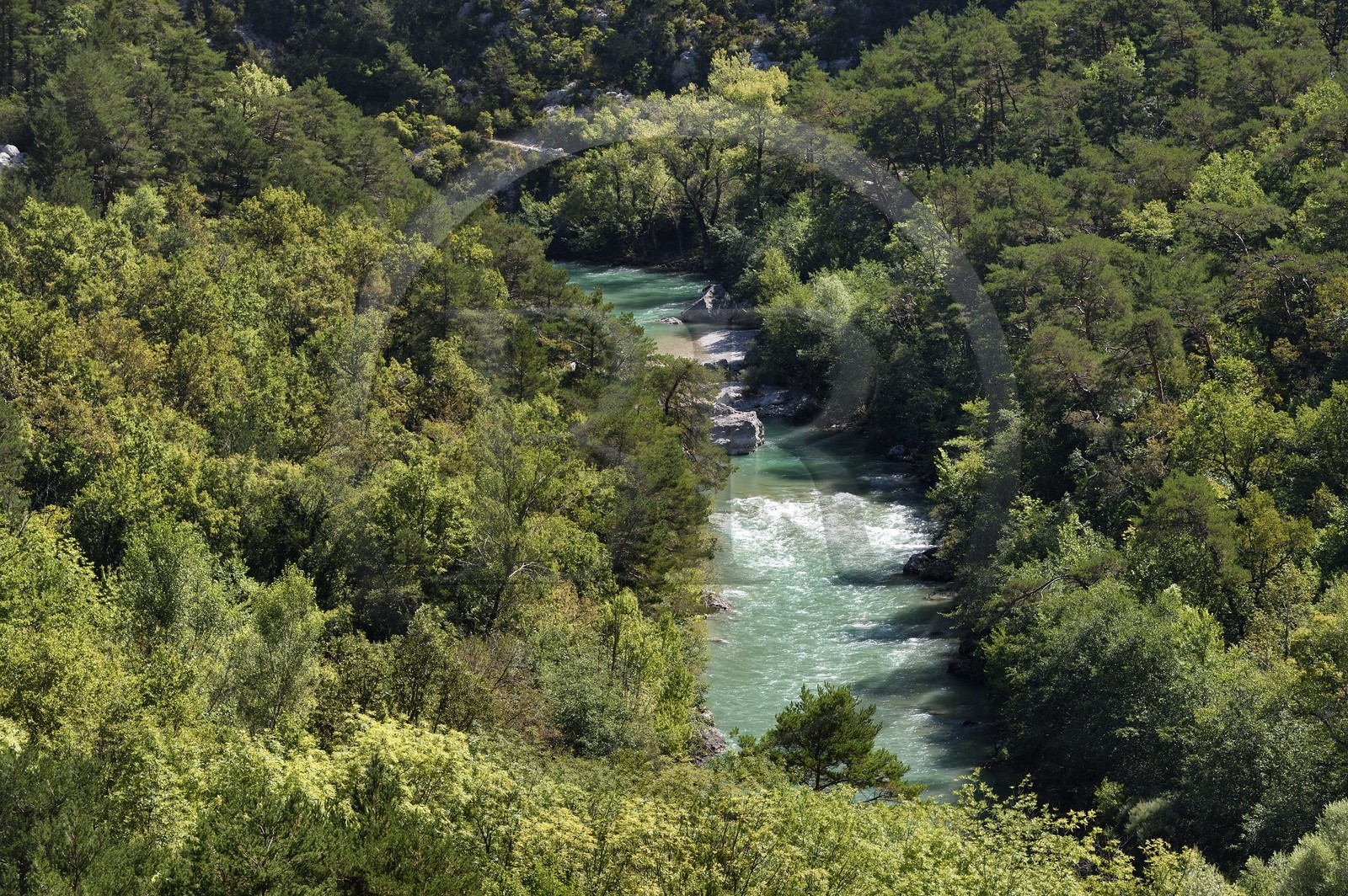 France, Alpes-de-Haute-Provence (04), Parc Naturel Régional du Verdon, les Gorges du Verdon en contrebas du village de Rougon et du Point Sublime