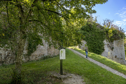France, Yonne (89), parc naturel régional du Morvan, Vézelay, classé au Patrimoine Mondial de l'UNESCO, labellisé Les Plus Beaux Villages de France, point de départ de l'une des principales voies de pèlerinage de Saint-Jacques-de-Compostelle, les remparts Nord