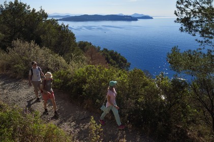 France, Var, La Seyne sur Mer, hike in the Cap Sicie massif along the Chemin du Joncquet below the Corniche Merveilleuse, the peninsula of Saint mandrier in the background