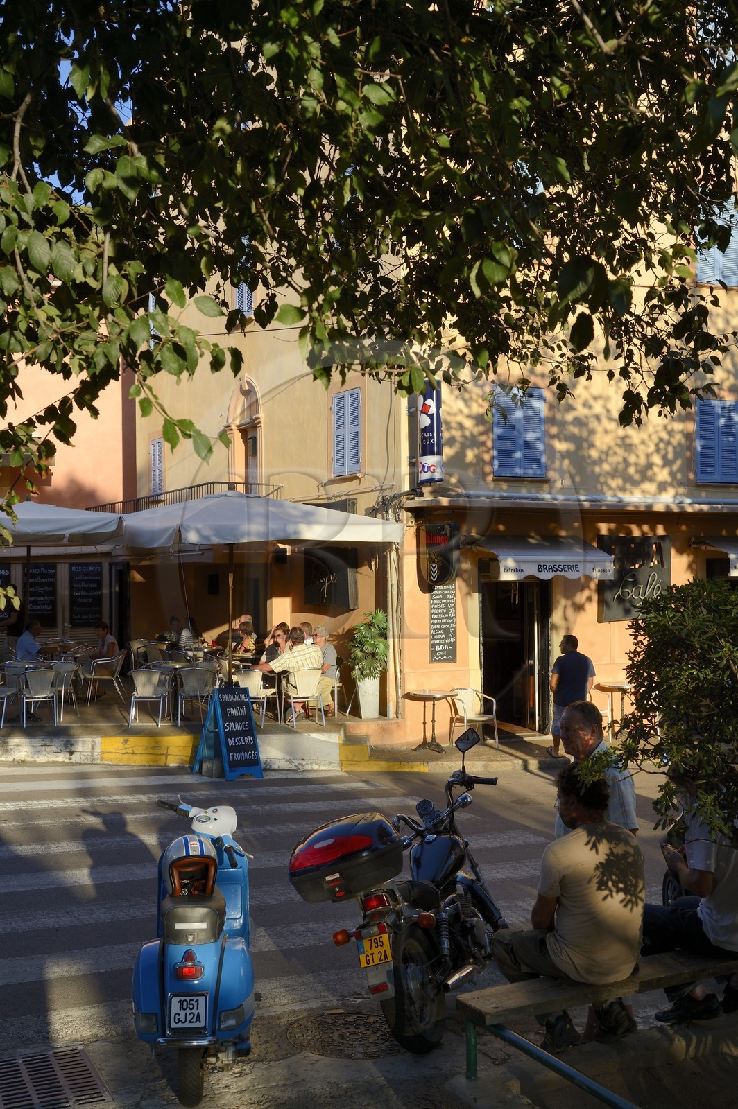 France, Corse-du-Sud (2A), Cargèse, la rue principale sur la nationale