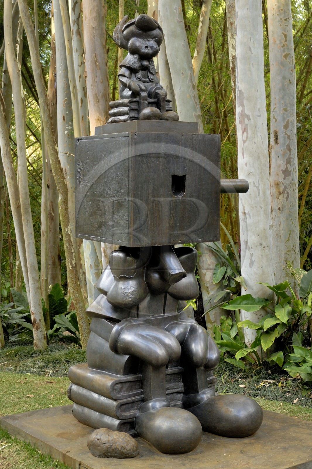 Brésil, Etat du Minas Gerais, région de Belo Horizonte, Brumadinho, centre d'art contemporain Inhotim, Boxhead (2001) de Paul Mccarthy