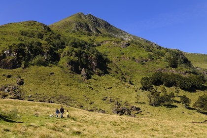 France, Cantal (15), monts du Cantal, Parc Naturel Régional des Volcans d' Auvergne, randonnée au pied de la montagne du Puy-Mary (1783m)