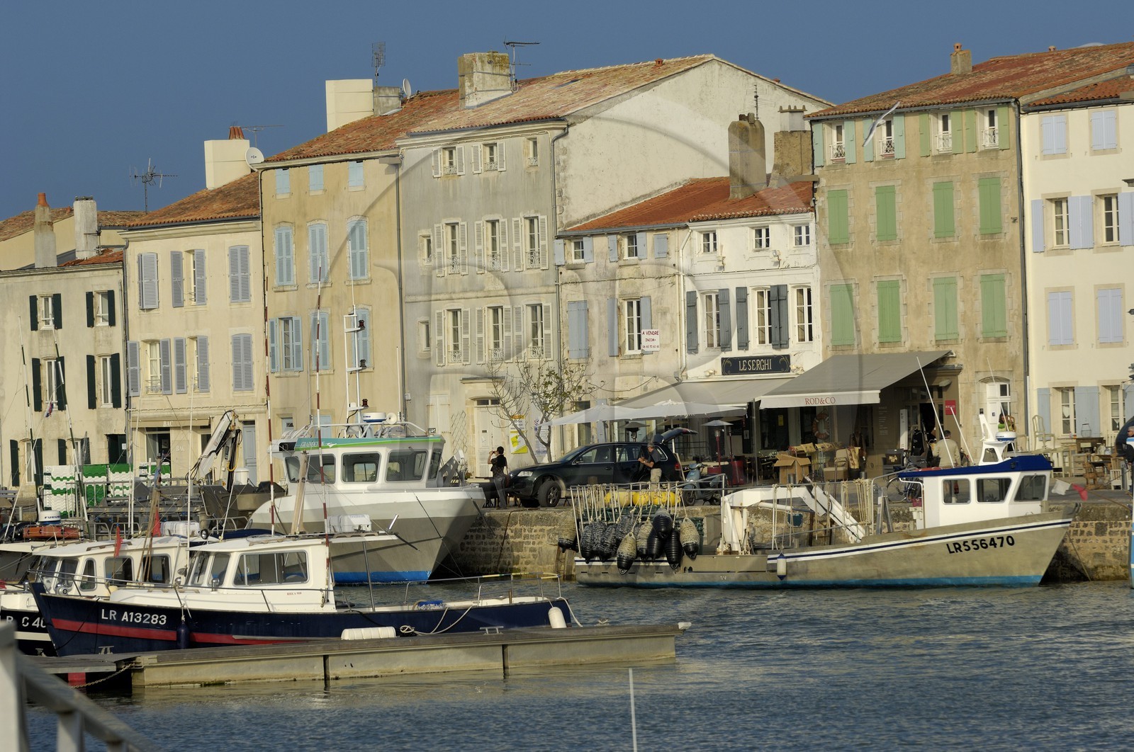 France, Charente-Maritime (17), ile de Ré, port de Saint-Martin-de-Ré