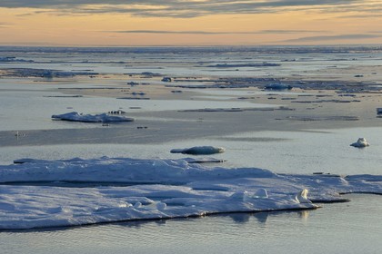 Groenland, cote Nord-Ouest, Smith sound, banquise en train de fondre