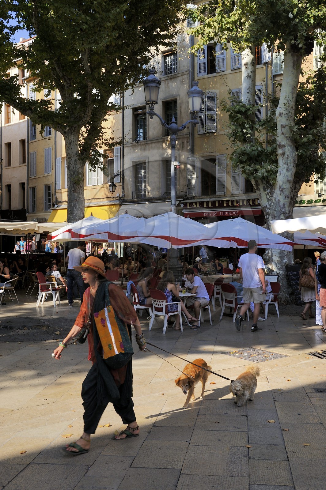 France, Bouches-du-Rhone, Aix-en-Provence, dog walking on the Place de l'Hotel de ville