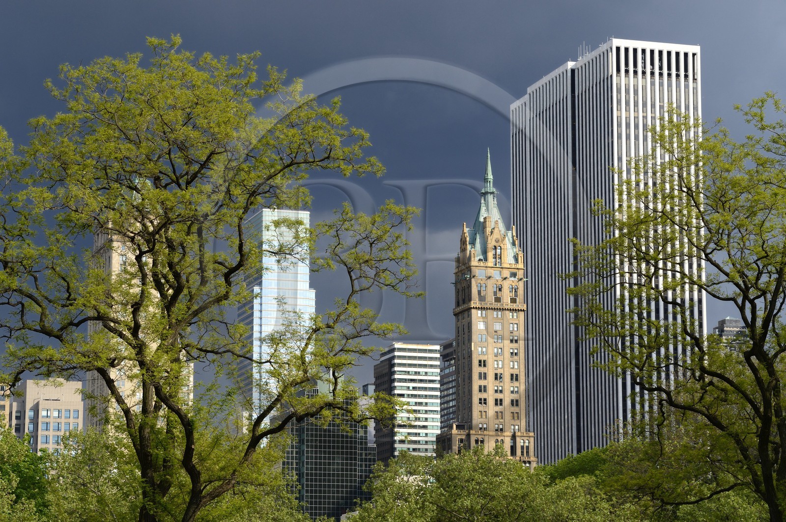 Etats-Unis, New York, Manhattan, Central Park, immeubles sur Central Park Sud